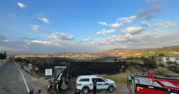 Diyarbakır Lice'de zirai ve ormanlık alanda yangın kontrol altına alındı