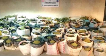 Diyarbakır'da 5 Ton 81 Kilo Esrar Ele Geçirildi
