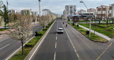 Diyarbakır'da Bahar Şöleni: Süs Armutları
