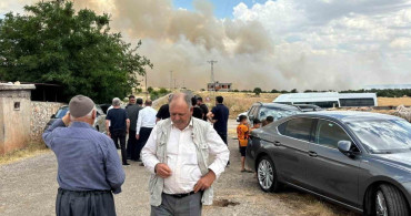 Diyarbakır'da buğday tarlasında yangın: Yüzlerce dönüm arazi zarar gördü
