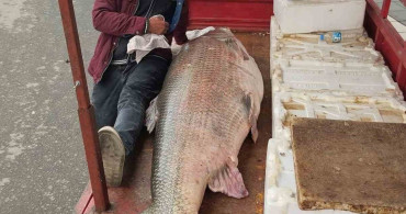 Diyarbakır'da Dev Turna Balığı Hayrete Düşürdü