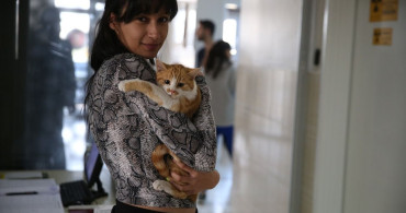 Diyarbakır'da Hayvanlara Ağız ve Diş Tedavisi Hizmeti