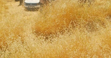 Diyarbakır'da otomobil tarlaya yuvarlandı: 5 yaralı