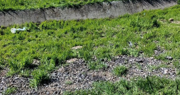 Diyarbakır'da Taksi Kazası: 4 Yaralı