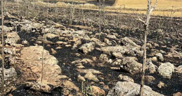 Diyarbakır'ın Çınar ilçesinde ekili alan yangında kül oldu