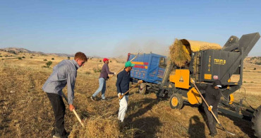 Diyarbakır’ın çüngüş ilçesinde mercimek hasadı tamamlandı