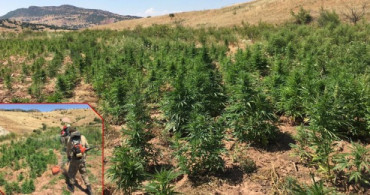 Diyarbakır'ın Hazro İlçesinde Dev Uyuşturucu Operasyonu