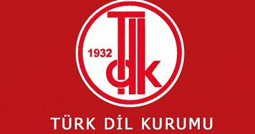 Dizin Ne Demek?