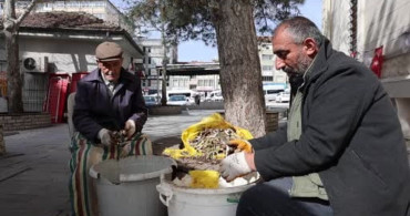 Doğal Antibiyotik Çiriş Otu Tezgahlarda