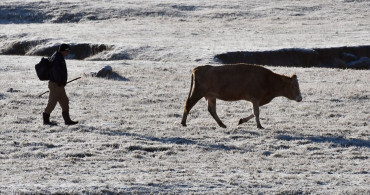 Doğu Anadolu Bölgesi'nde Soğuk Hava ve Sis