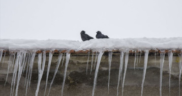 Doğu Anadolu'da Dondurucu Soğuklar Etkili Oluyor