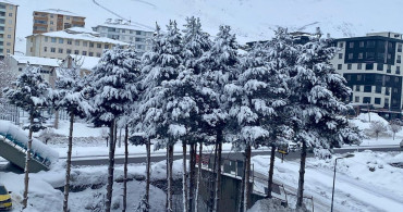 Doğu Anadolu'da Olumsuz Hava Koşulları Ulaşımı Engelliyor