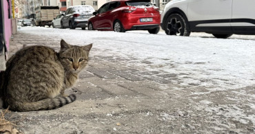 Doğu Anadolu'da Soğuk Hava Etkisi