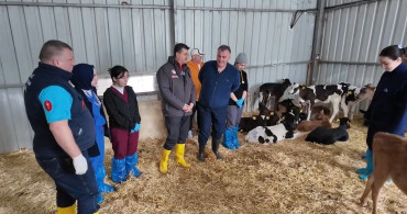 Doğum Sonrası Bakımda Hatasız Üretim Reçetesi