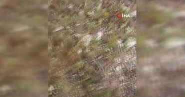Dolaman Karpınarı: Mantar Toplayıcısı Sait Alkış’ın Başarı Hikayesi