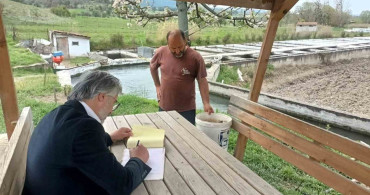 Domaniç'te Alabalık ve Hindi Çiftliğinde Numune Alımı Gerçekleştirildi