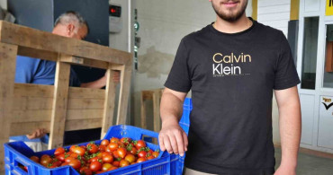 Domates Üretim Planlaması: Fiyat Dengesinin Sağlanması