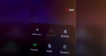 Dövüş Köpeği Üretiminde Cezalar Büyüyor