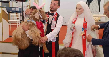 Düğün Geleneğinde Sıradışı Hediye: Keçi