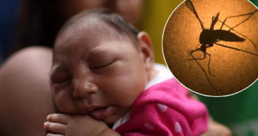 Zika virüsü bulaşıcı mı? Zika virüsü hangi ülkelerde görüldü, belirtileri neler? Dünya gündemi yeni tehlike Zika virüsünü konuşuyor!
