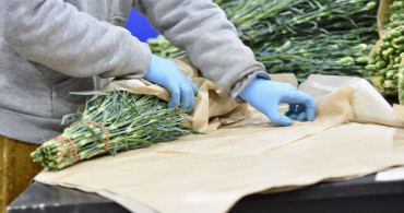 Dünya Kadınlar Günü için Türkiye'den Yurt Dışına 80 Milyon Dal Çiçek Gönderildi