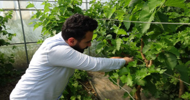 Dünyada ilk defa denendi: Çiftçilerden yoğun ilgi gördü