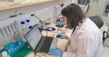 Düşük Maliyetli Yapay Zeka Destekli Glikoz Biyosensörü Sakarya'da Geliştirildi