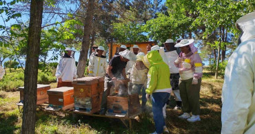 Düzce Üniversitesi'nden arıcılara kapsamlı eğitim