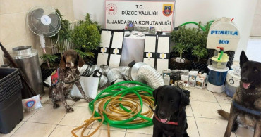 Düzce'de Uyuşturucu Bitki Operasyonu: Şüpheli Yakalandı