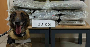 Düzce'de Uyuşturucu Operasyonu: 12 Kilogram Skunk Ele Geçirildi