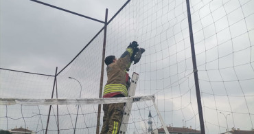 Düzce'deki Karga Kurtarma Operasyonu