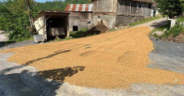 Düzce'deki Köy Yollarında Asfalt Çalışmaları Devam Ediyor