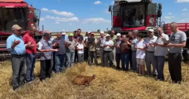 Edirne'de buğday hasadı dualarla başladı