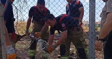 Edirne'de çıkan yangında kaplumbağa itfaiye ekipleri tarafından kurtarıldı