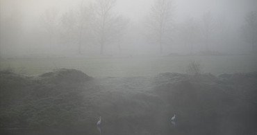 Edirne'de Görüş Mesafesi 40 Mete Düştü: Yoğun Sis Etkili Oluyor