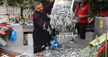 Edirne'de Hamsi Fiyatları Düşüyor, Tezgahlar Kalabalık