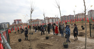 Edirne'de Hatıra Ormanı Oluşturuldu