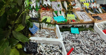 Edirne'de Su Ürünleri Denetimleri Devam Ediyor