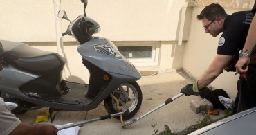 Edirne'de Yılan Paniği: Motosikletten Çıkarıldı