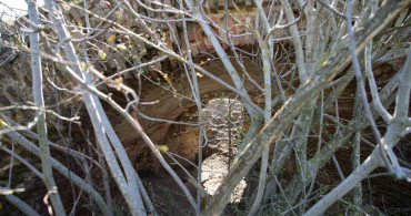 Edirne'deki Tarihi Tabyalar Yok Olma Tehlikesiyle Karşı Karşıya