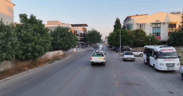 Efeler'de haşere mücadelesi devam ediyor
