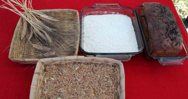 Efeler’de kadın emeği tarımsal ürün fabrikasında yaz sezonu hazırlıkları başladı