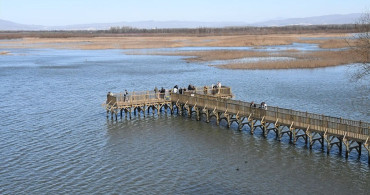Efteni Gölü Kuş Cenneti Doğaseverlerle Dolu