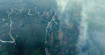 Efteni Kuş Cenneti'nde Sonbahar Güzellikleri