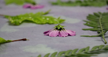 El Emeği İpeği: Hatay'dan Özgün Tasarımlar