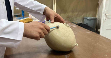 El işçiliğiyle şekillenen seramik eserlerin olgunlaşma süreci bir hafta sürüyor