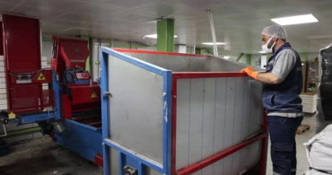 Elazığ Belediyesi'nin Çiçek Üretimiyle Kent Estetiği Artıyor