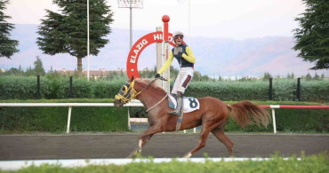 Elazığ hipodromunda valilik koşusunu nesib kazandı