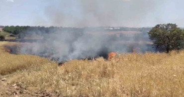Elazığ'da arazi yangınına müdahale sürüyor