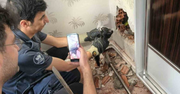Elazığ'da baca boşluğunda mahsur kalan yavru kedi kurtarıldı
